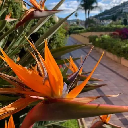 Sul Mare Apartament *